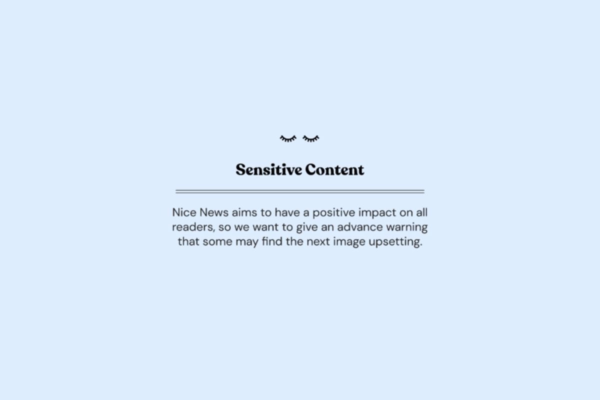 NN_sensitive Content 3_2