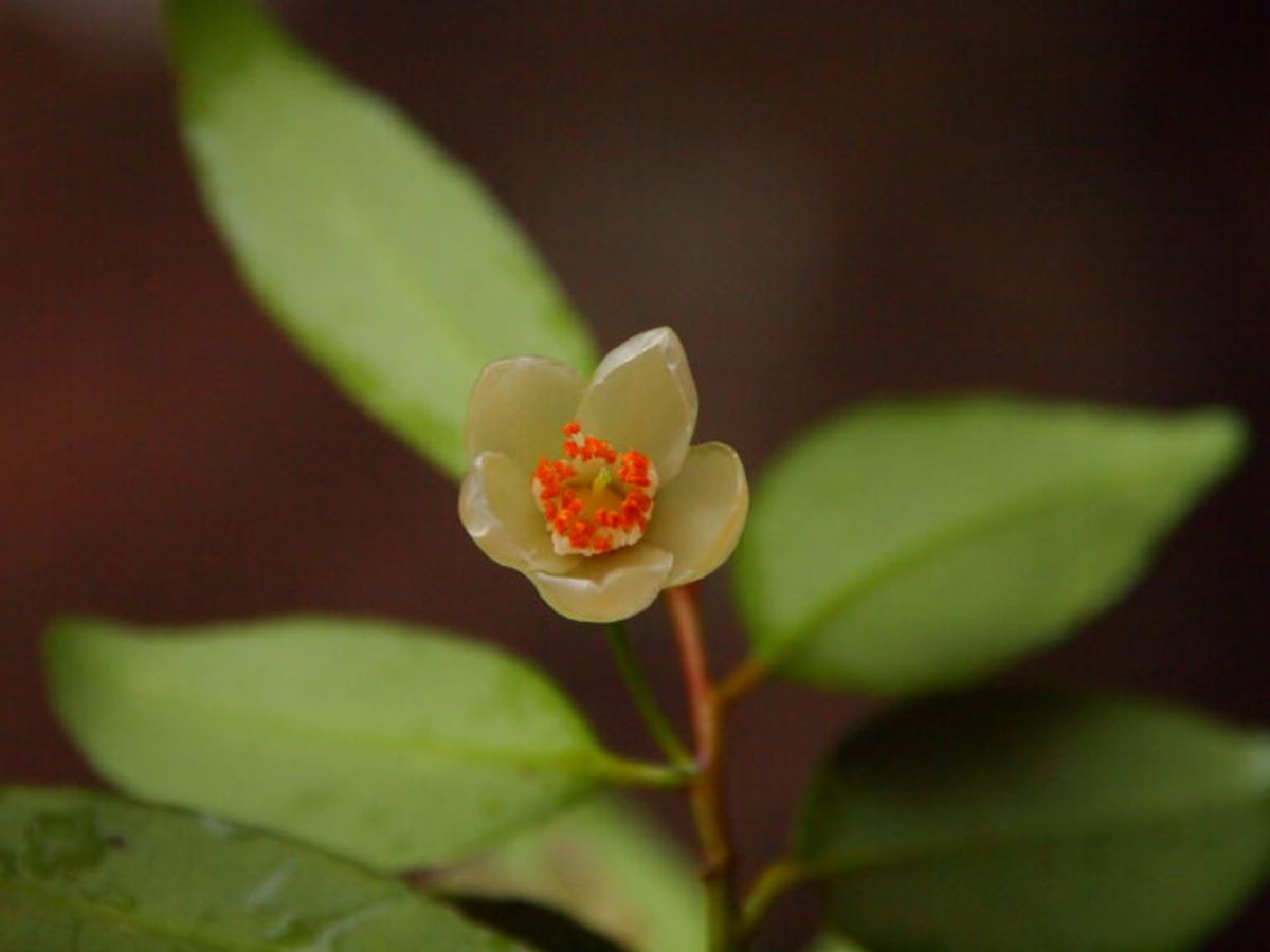 © Shuichiro Tagane
