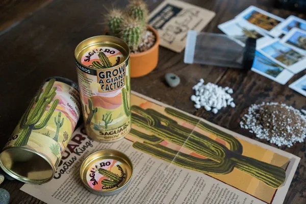 Jonsteen Growing Kit